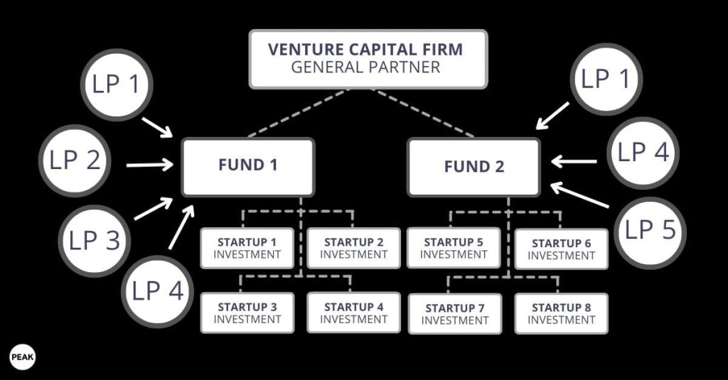 What is an LP in Venture Capital? - Peak