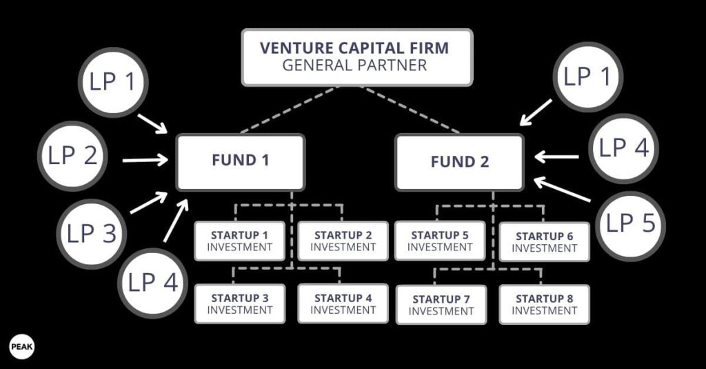 What Is An LP In Venture Capital Peak